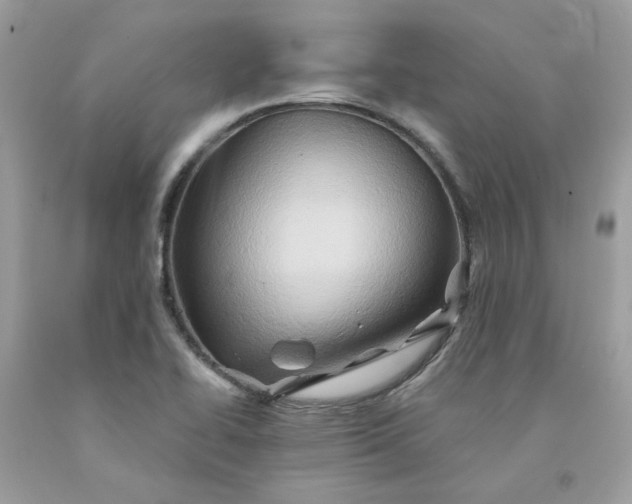 X0000091591414200709051112