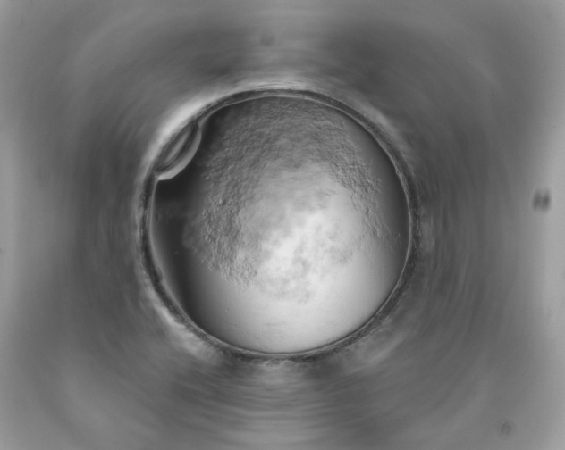 X0000091591416200709051112