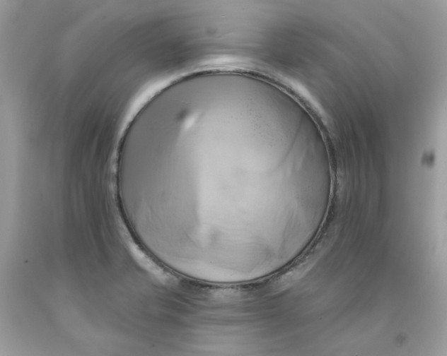 X0000091591421200709051112