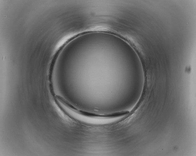 X0000091591422200709051112