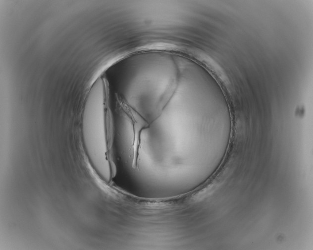 X0000091591425200709051112
