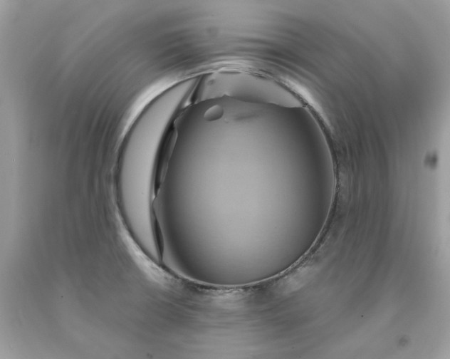 X0000091591426200709051112