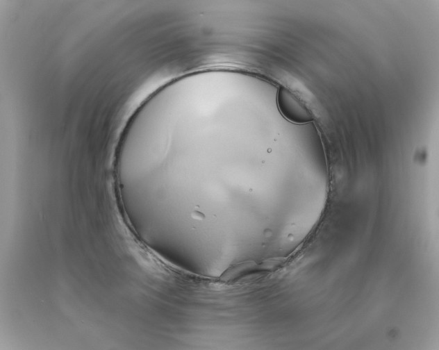 X0000091591427200709051112