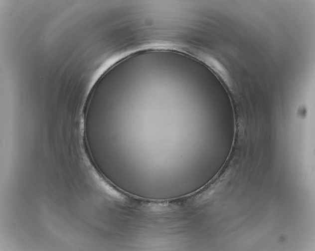 X0000091591428200709051112