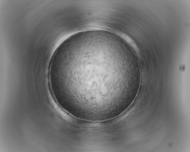 X0000091591431200709051112