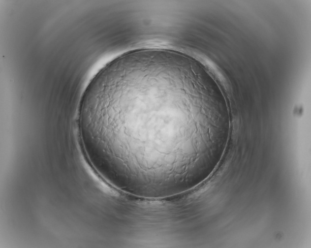 X0000091591432200709051112