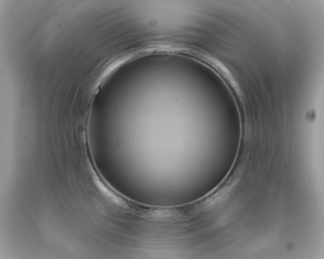 X0000091591433200709051112