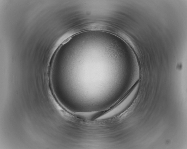 X0000091591434200709051112