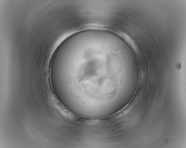 X0000091591435200709051112
