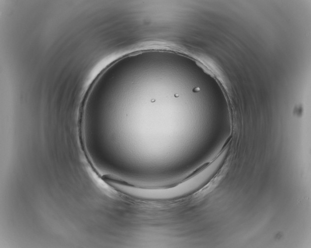 X0000091591438200709051112