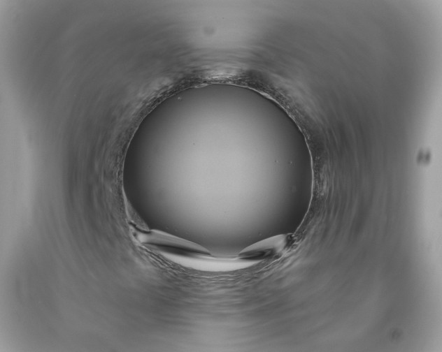 X0000091591441200709051112