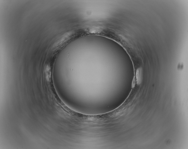 X0000091591443200709051112