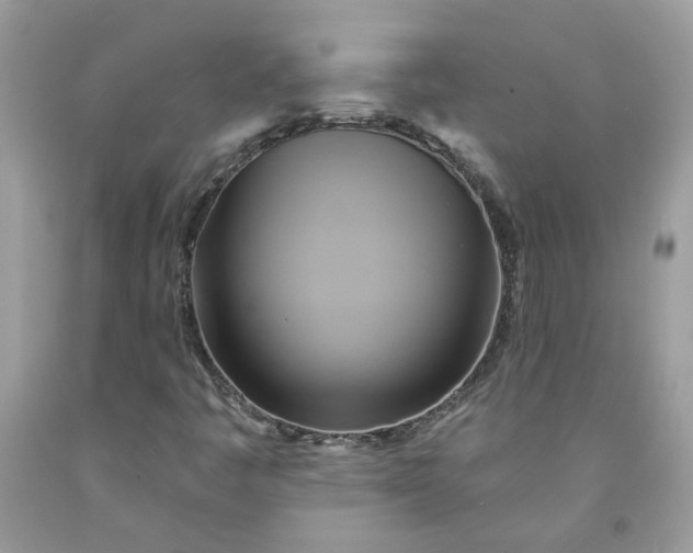 X0000091591445200709051112