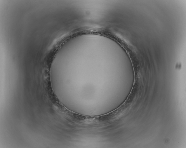 X0000091591447200709051112