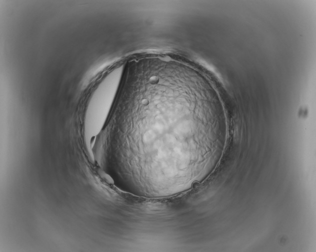 X0000091591448200709051112