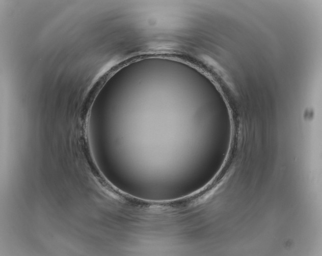 X0000091591449200709051112