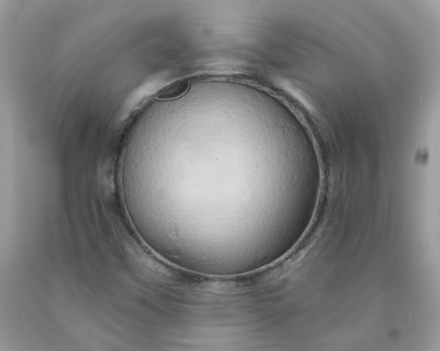 X0000091591451200709051112