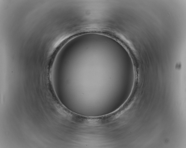 X0000091591453200709051111