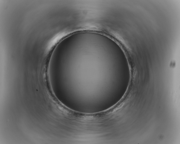 X0000091591455200709051111