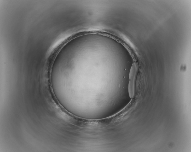 X0000091591456200709051111
