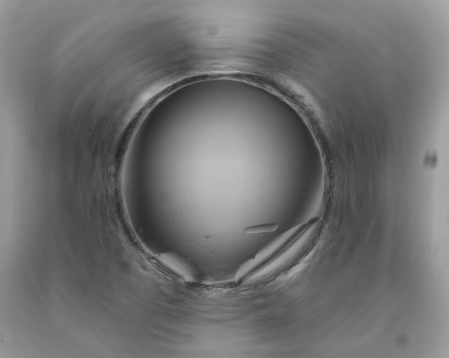 X0000091591457200709051111