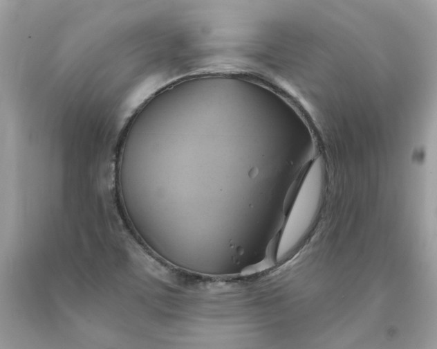 X0000091591459200709051111