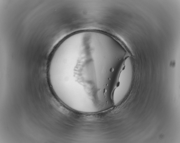 X0000091591460200709051111