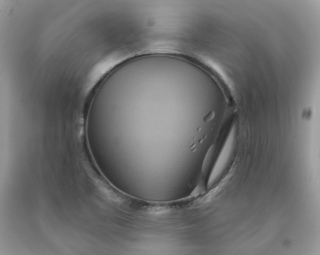 X0000091591461200709051111