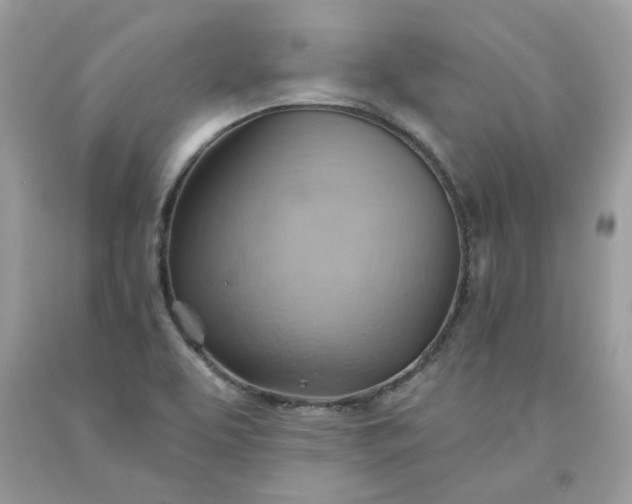 X0000091591463200709051111