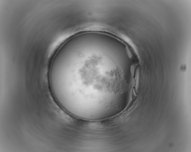 X0000091591464200709051111