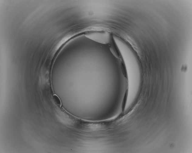 X0000091591465200709051111