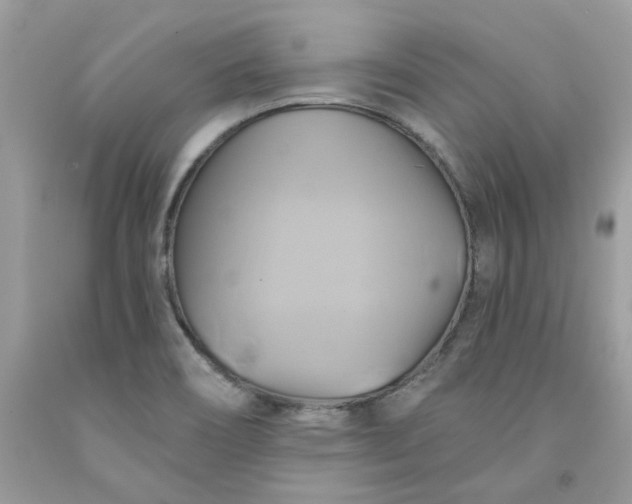 X0000091591466200709051111