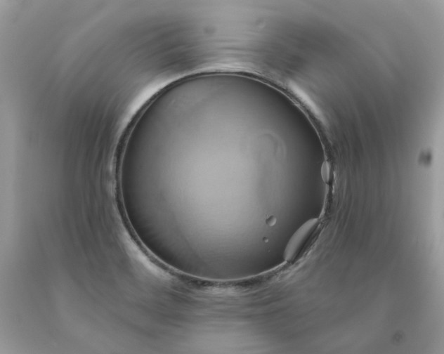 X0000091591468200709051111