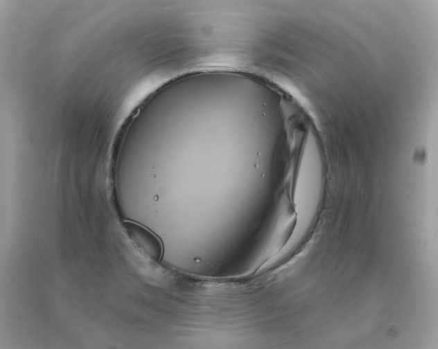 X0000091591469200709051111