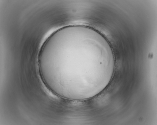 X0000091591470200709051111