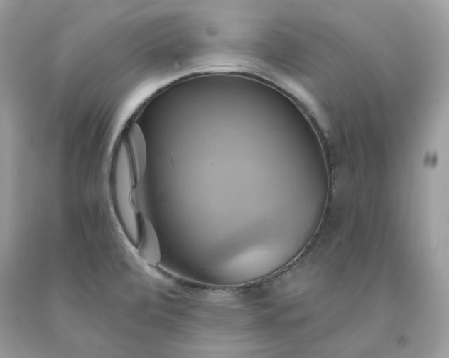 X0000091591472200709051111