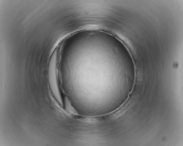 X0000091591473200709051111