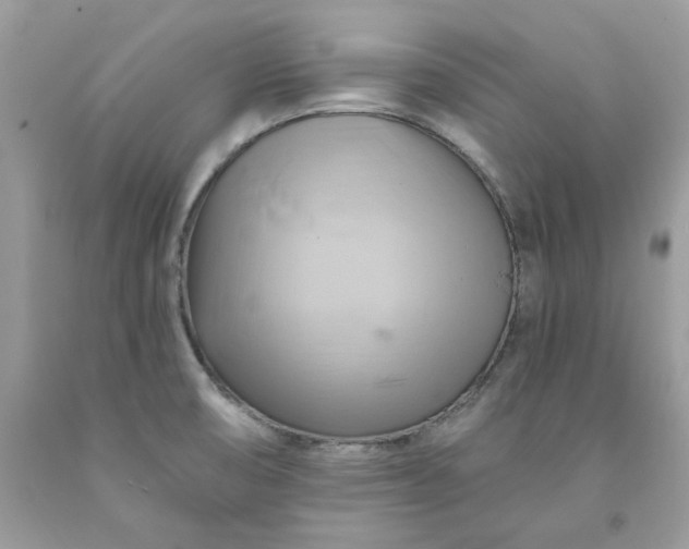 X0000091591474200709051111