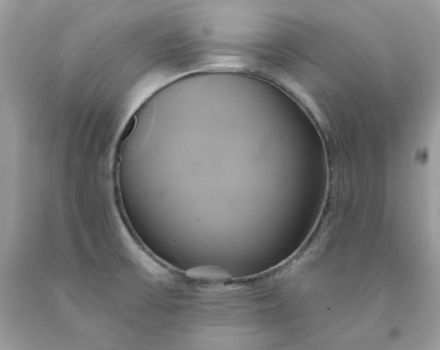 X0000091591475200709051111