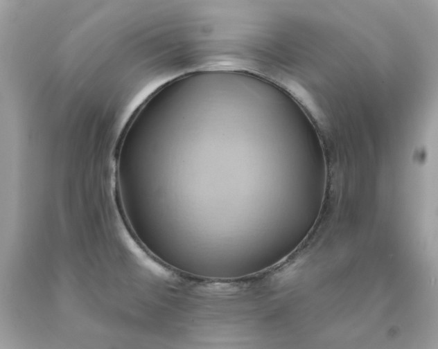 X0000091591476200709051111