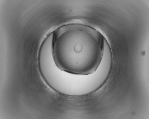X0000091591477200709051111