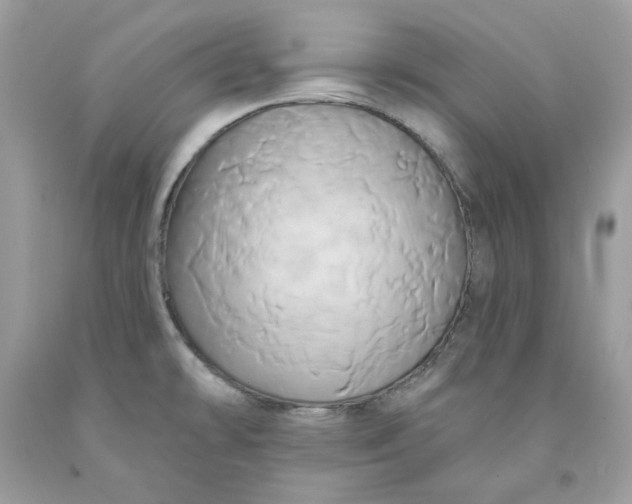 X0000091591478200709051111