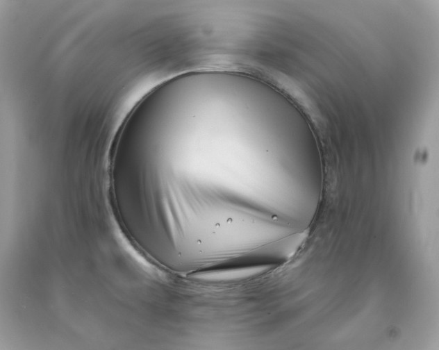 X0000091591479200709051111