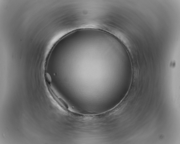 X0000091591480200709051111