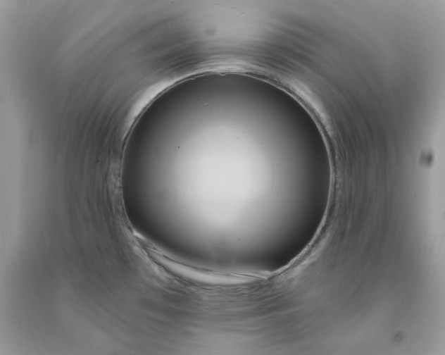 X0000091591481200709051111