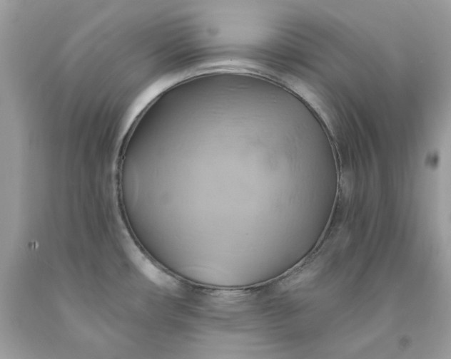 X0000091591482200709051111