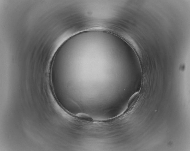 X0000091591483200709051111