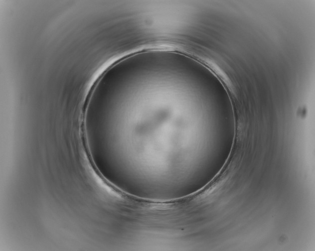 X0000091591484200709051111