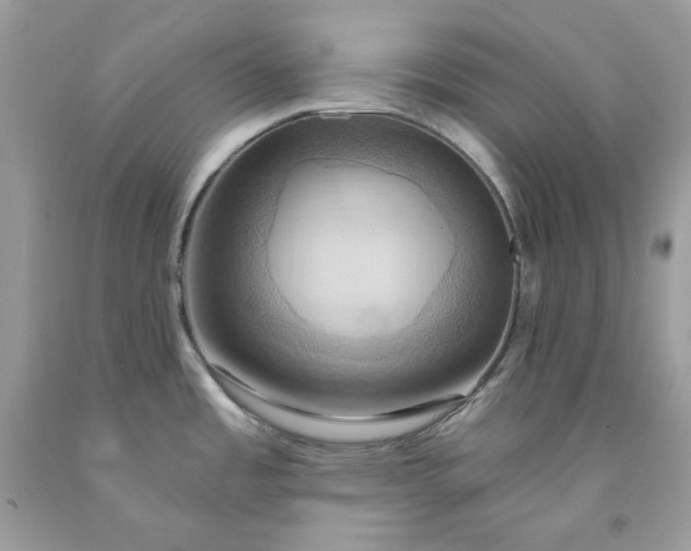 X0000091591485200709051111