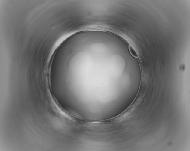 X0000091591486200709051111